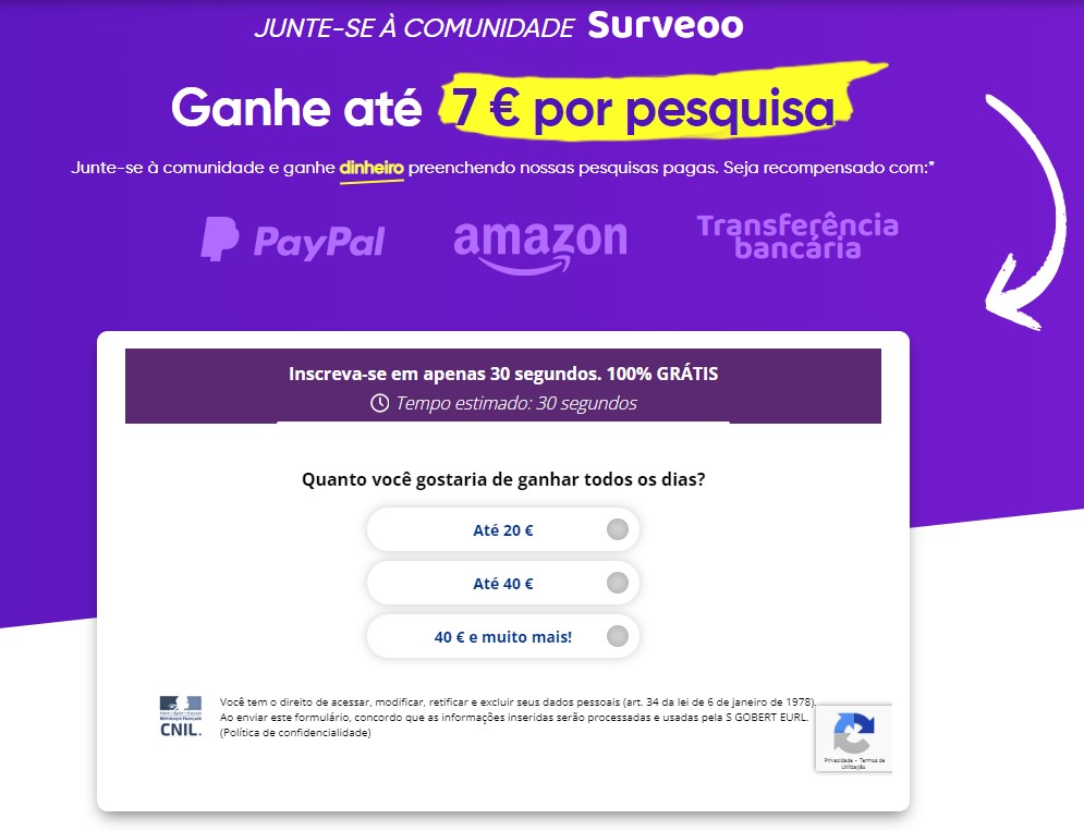 surveoo quanto quer ganhar todos os dias?